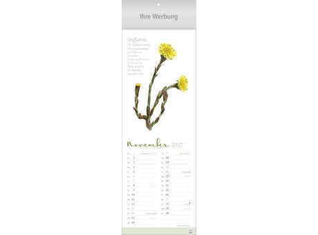 Herbarium