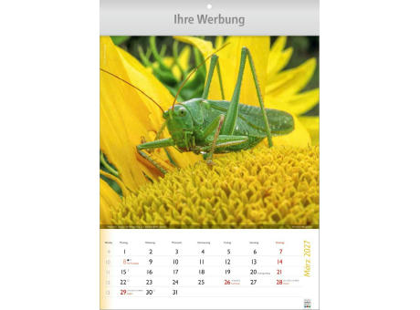 Wunderbare Tiere