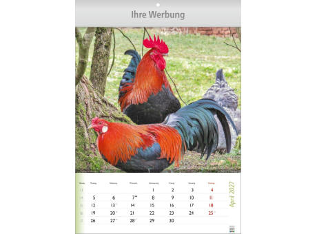 Wunderbare Tiere