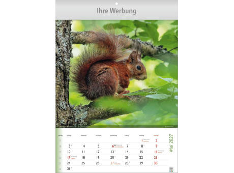 Wunderbare Tiere