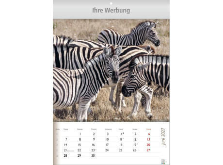 Wunderbare Tiere