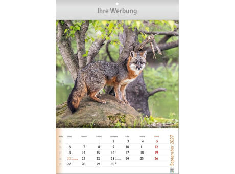 Wunderbare Tiere