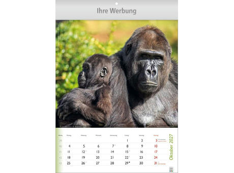 Wunderbare Tiere