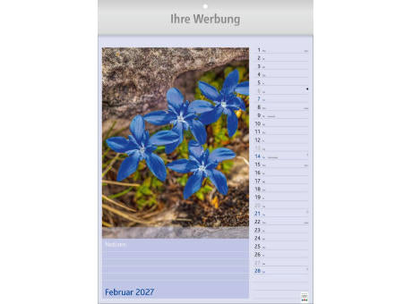 Blütenzauber