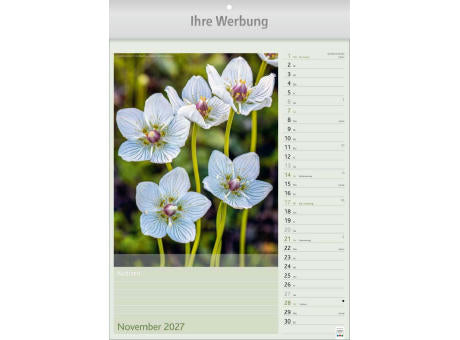 Blütenzauber