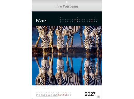 Spiegelwelten