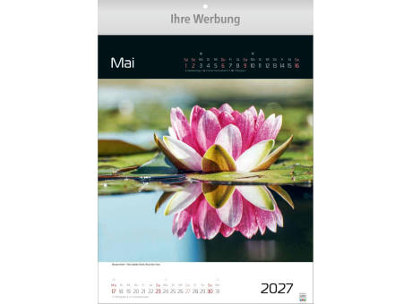 Spiegelwelten