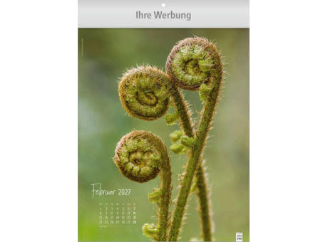 Natur ganz nah