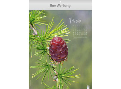 Natur ganz nah