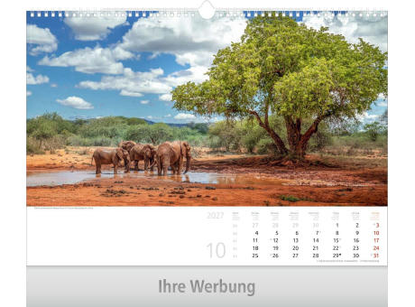 Reise um die Welt