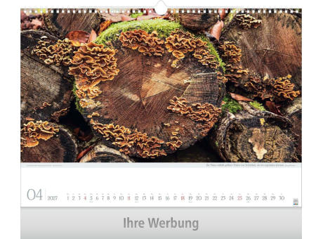 Leben pur