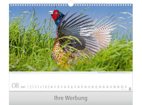 Leben pur