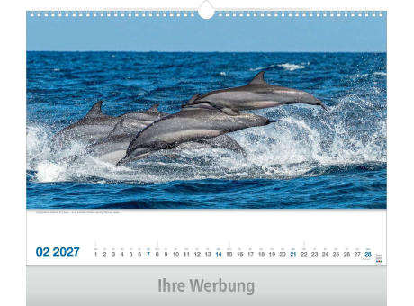Lebendiges Wasser