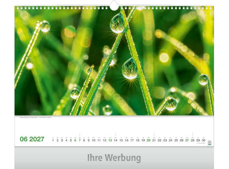Lebendiges Wasser