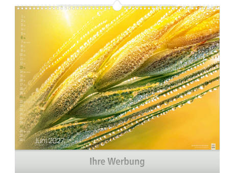Tiefenschärfe