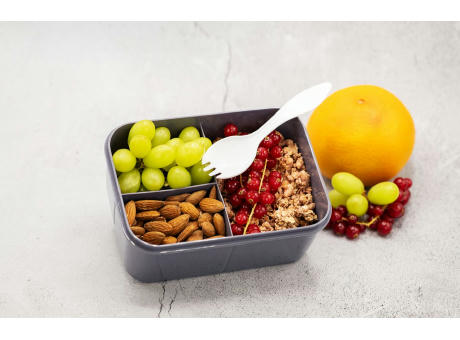 SNACK Lunchbox mit Inneneinteilung und Göffelfach
