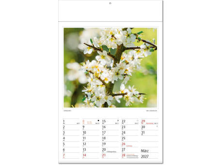Kalender "Botanica" im Format 24 x 37,5 cm, mit Fälzel