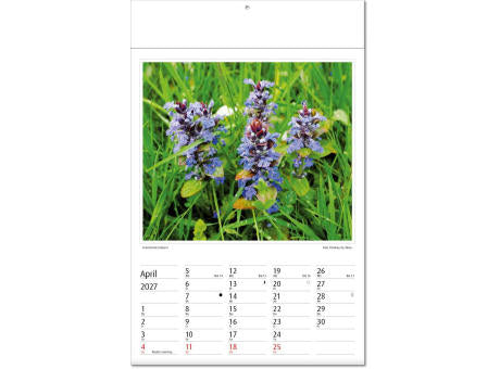 Kalender "Botanica" im Format 24 x 37,5 cm, mit Fälzel