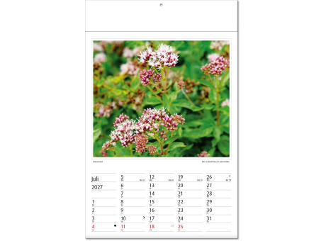 Kalender "Botanica" im Format 24 x 37,5 cm, mit Fälzel