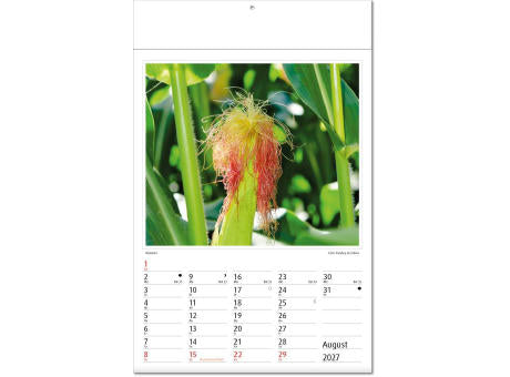 Kalender "Botanica" im Format 24 x 37,5 cm, mit Fälzel