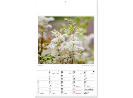 Kalender "Botanica" im Format 24 x 37,5 cm, mit Fälzel
