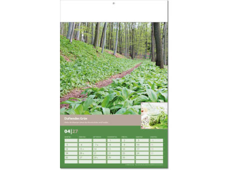 Kalender "Landlaune" im Format 24 x 37,5 cm, mit Fälzel