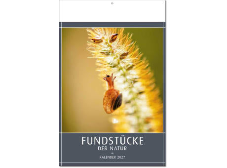 Kalender "Fundstücke der Natur" im Format 24 x 37,5 cm, mit Fälzel