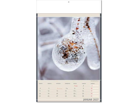 Kalender "Fundstücke der Natur" im Format 24 x 37,5 cm, mit Fälzel