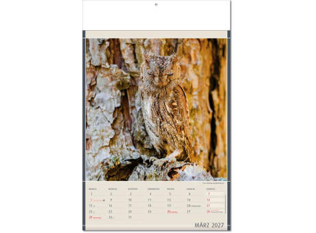 Kalender "Fundstücke der Natur" im Format 24 x 37,5 cm, mit Fälzel