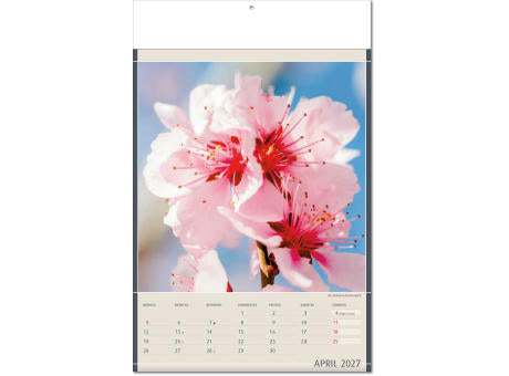 Kalender "Fundstücke der Natur" im Format 24 x 37,5 cm, mit Fälzel