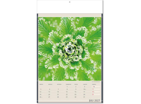 Kalender "Fundstücke der Natur" im Format 24 x 37,5 cm, mit Fälzel