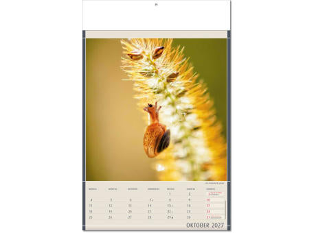 Kalender "Fundstücke der Natur" im Format 24 x 37,5 cm, mit Fälzel