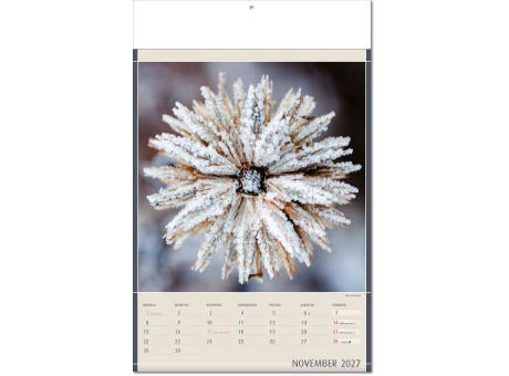 Kalender "Fundstücke der Natur" im Format 24 x 37,5 cm, mit Fälzel