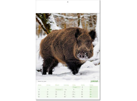 Kalender "Blick ins Tierreich" im Format 24 x 37,5 cm, mit Fälzel
