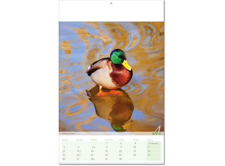 Kalender "Blick ins Tierreich" im Format 24 x 37,5 cm, mit Fälzel