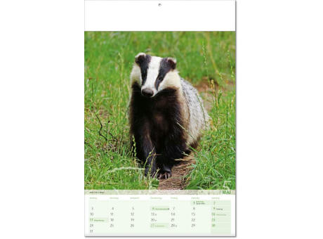 Kalender "Blick ins Tierreich" im Format 24 x 37,5 cm, mit Fälzel