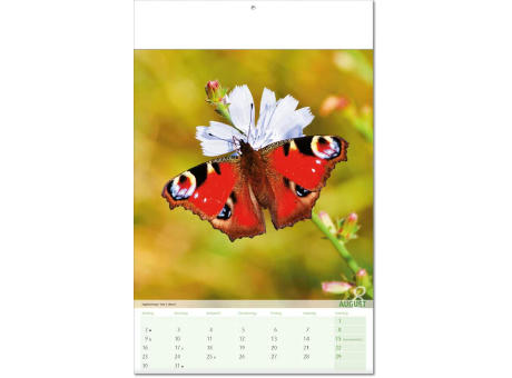 Kalender "Blick ins Tierreich" im Format 24 x 37,5 cm, mit Fälzel