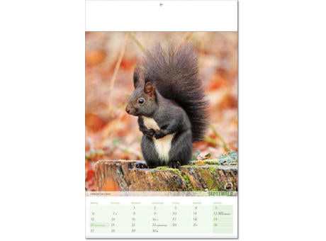 Kalender "Blick ins Tierreich" im Format 24 x 37,5 cm, mit Fälzel