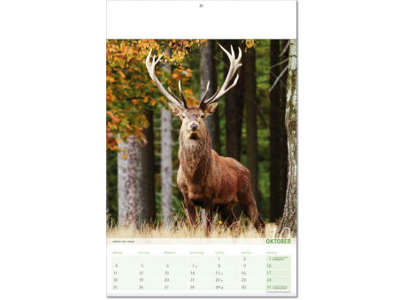 Kalender "Blick ins Tierreich" im Format 24 x 37,5 cm, mit Fälzel