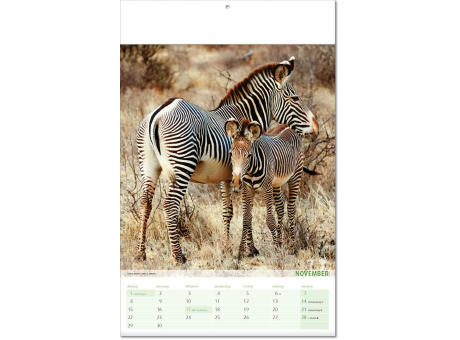 Kalender "Blick ins Tierreich" im Format 24 x 37,5 cm, mit Fälzel