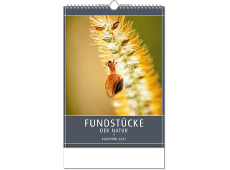 Kalender "Fundstücke der Natur" im Format 24 x 38,5 cm, mit Wire-O Bindung und verlängerter Rückwand