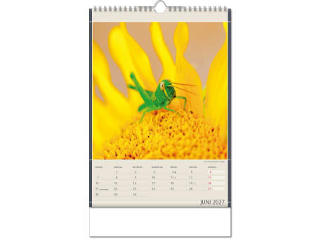 Kalender "Fundstücke der Natur" im Format 24 x 38,5 cm, mit Wire-O Bindung und verlängerter Rückwand