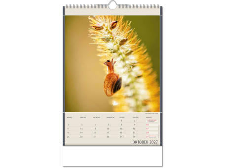 Kalender "Fundstücke der Natur" im Format 24 x 38,5 cm, mit Wire-O Bindung und verlängerter Rückwand