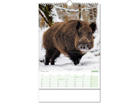Kalender "Blick ins Tierreich" im Format 24 x 38,5 cm, mit Wire-O Bindung und verlängerter Rückwand