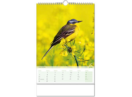 Kalender "Blick ins Tierreich" im Format 24 x 38,5 cm, mit Wire-O Bindung und verlängerter Rückwand