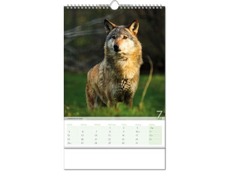 Kalender "Blick ins Tierreich" im Format 24 x 38,5 cm, mit Wire-O Bindung und verlängerter Rückwand