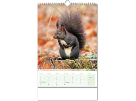 Kalender "Blick ins Tierreich" im Format 24 x 38,5 cm, mit Wire-O Bindung und verlängerter Rückwand