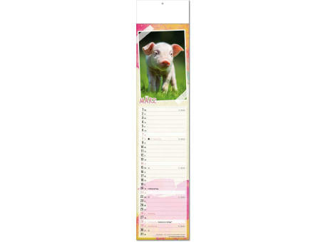 Kalender "Tierbabys" im Format 11 x 50 cm, mit Fälzel