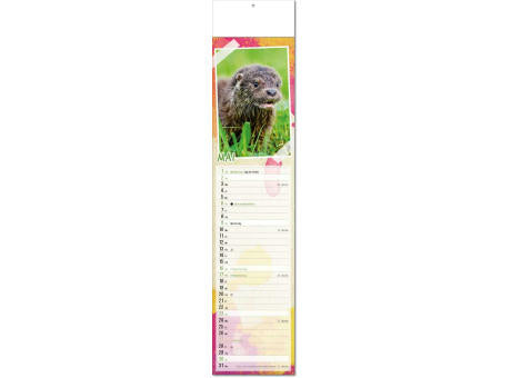 Kalender "Tierbabys" im Format 11 x 50 cm, mit Fälzel