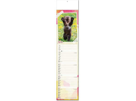 Kalender "Tierbabys" im Format 11 x 50 cm, mit Fälzel